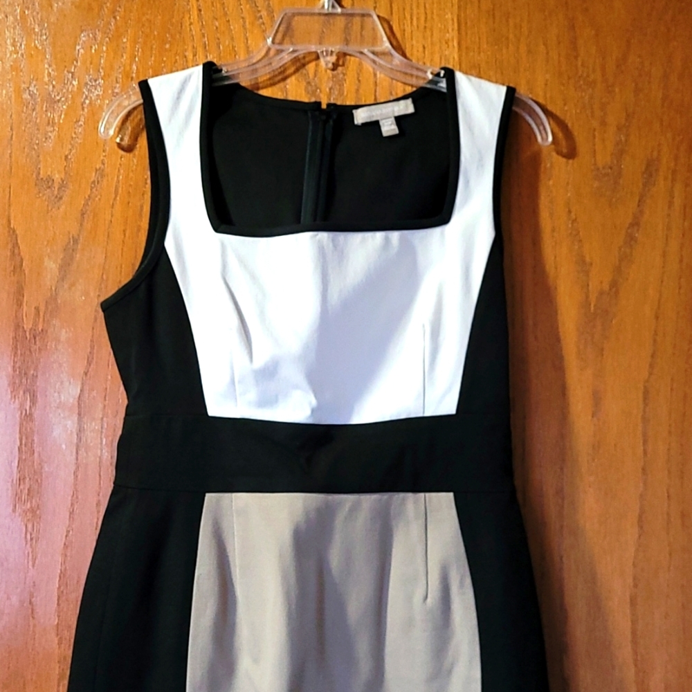 Banana Republic color block dress
